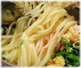 津田屋官兵衛 ごぼう天おろしぶっかけうどんの麺