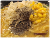 ラーメン大至 味噌ラーメンの具
