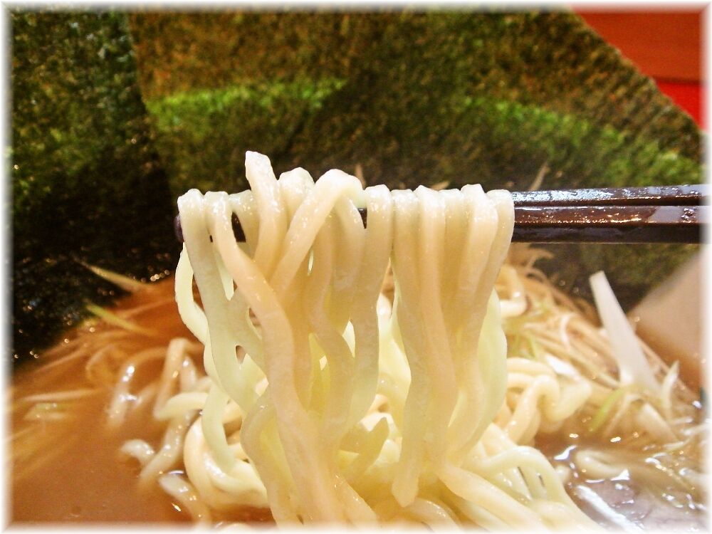 ラーメンしらいし ネギチャーシューメンの麺