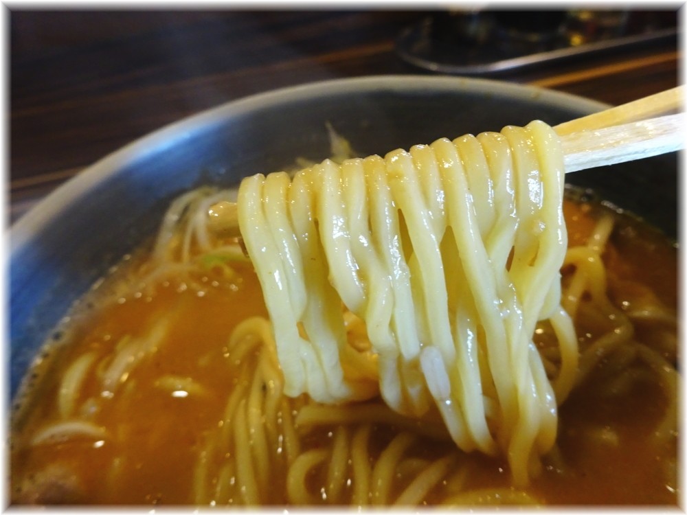 中華そば蛍 海の味噌味玉そばの麺