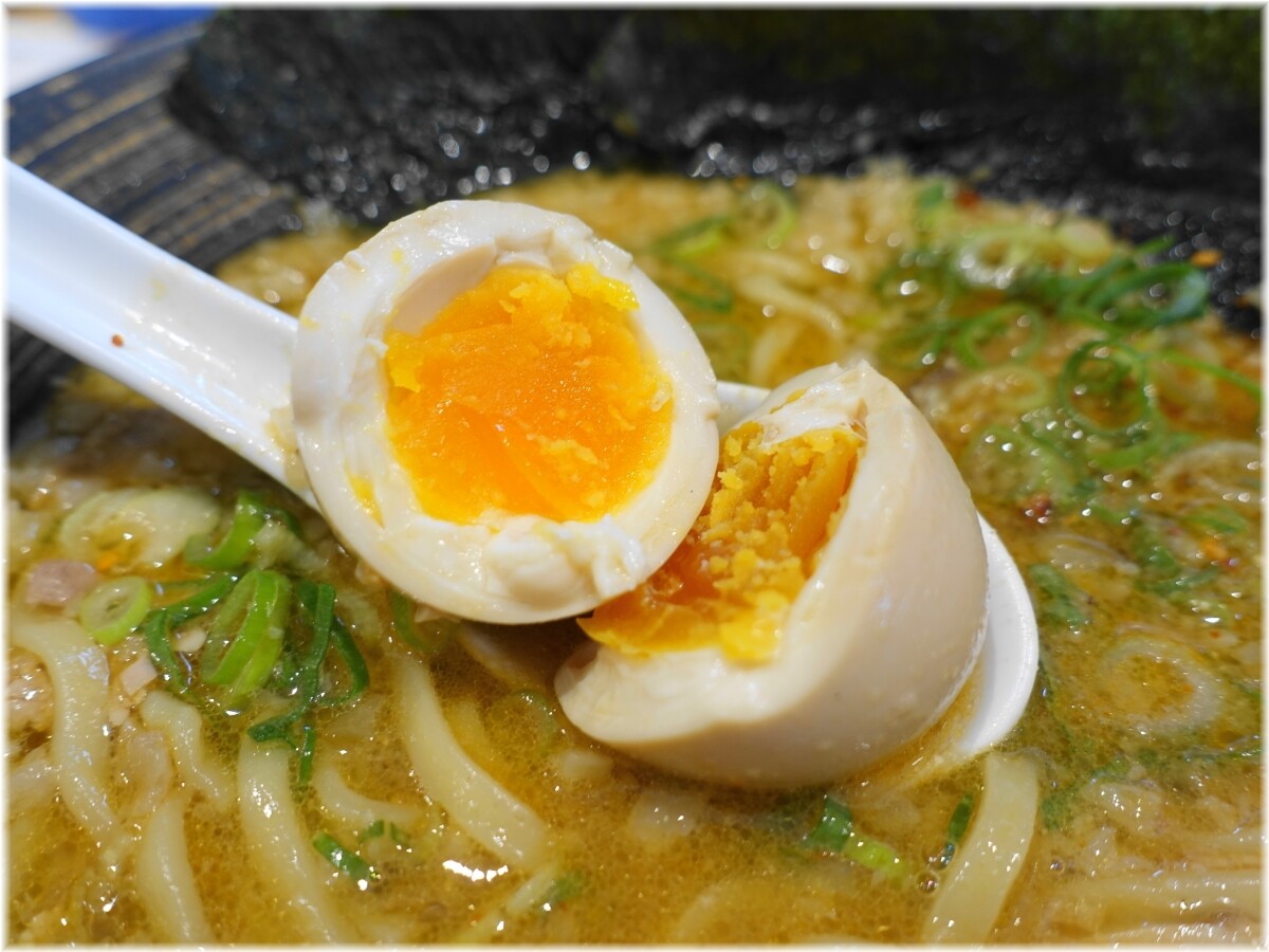 中華そば結。4 特製味噌ラーメンの味玉
