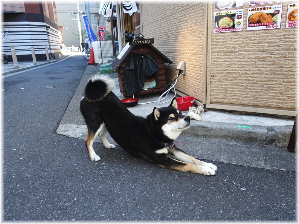 麺屋楽笑 KUDAKA君