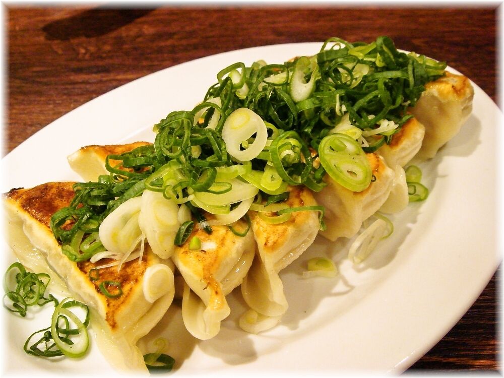 せたが屋 ネギ黒豚焼餃子1