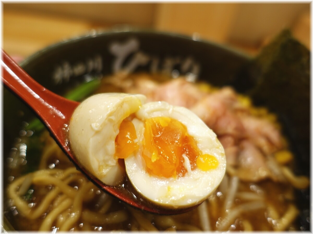 柿田川ひばり 特製味噌らーめんの味玉