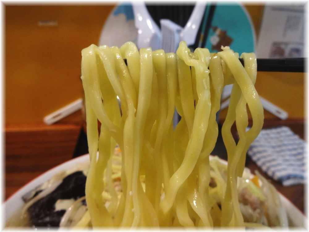 麺処 丹行味素 野菜タン麺の麺