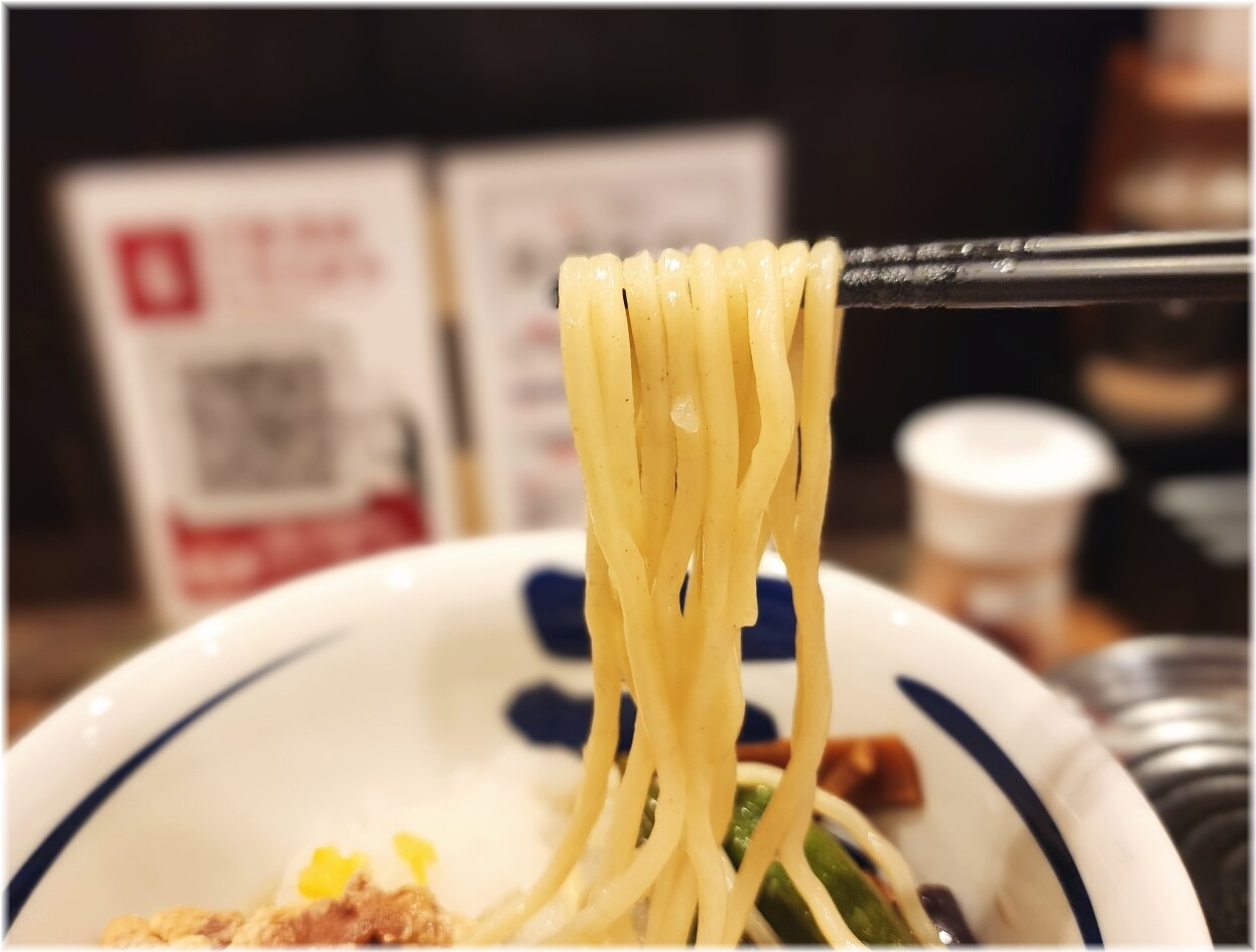 三田製麺所19 鬼おろしぶっかけ冷やし麺の麺