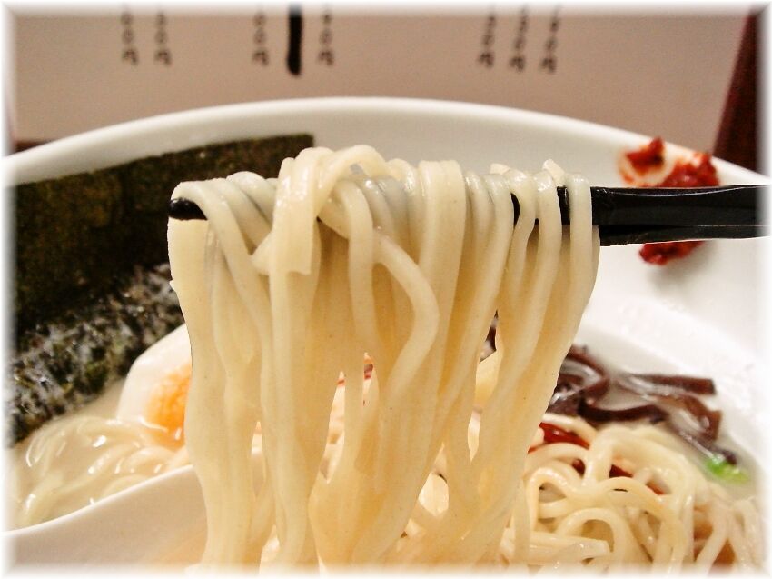 うぜん 鶏塩ラーメンの麺