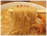 札幌本舗 味噌ラーメンの麺