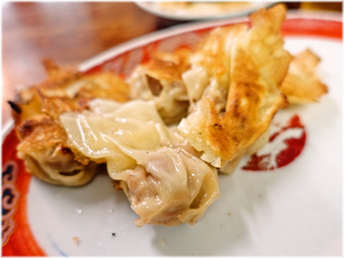 かづ屋2 焼きワンタン2
