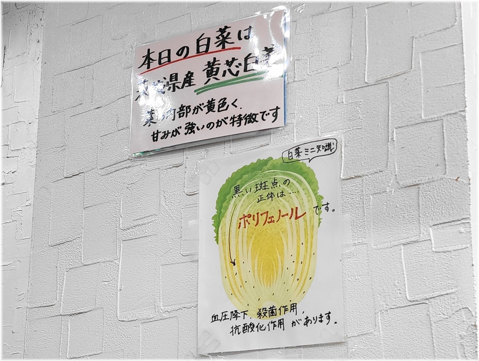 銀座たんめん 白菜の産地