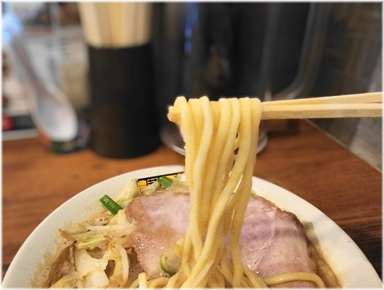 濃菜麺井の庄 濃菜麺の麺