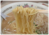 福すい 味噌ラーメンの麺