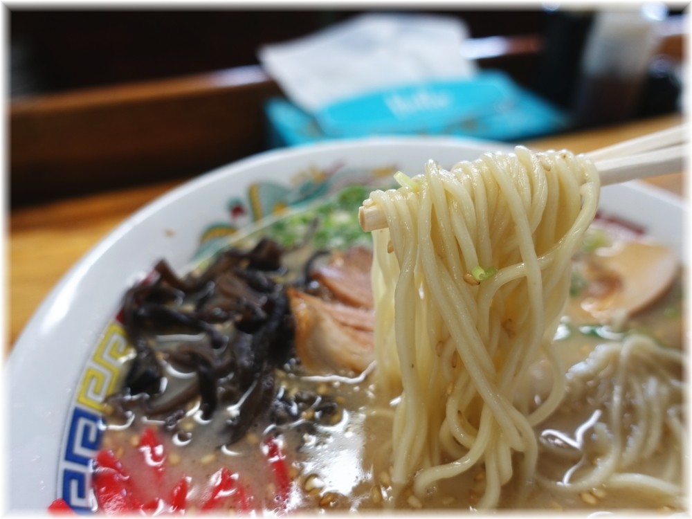 育元2 博多ラーメン+半熟煮玉子の麺