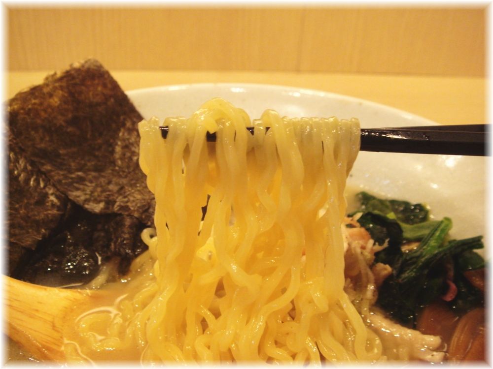コーチン専科ここから 鶏塩らーめんの麺