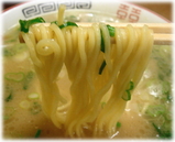 ふくちゃんラーメン博多店 ラーメンの麺