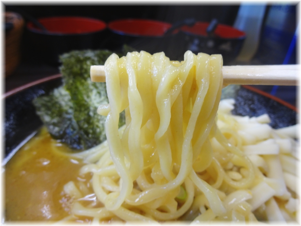武術家4 カレーチーズらーめんの麺