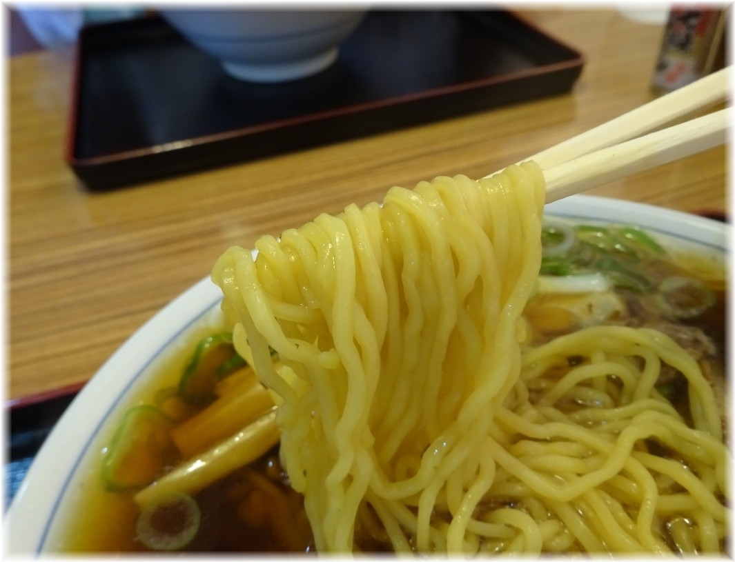 大石家飯田店 並盛りの麺