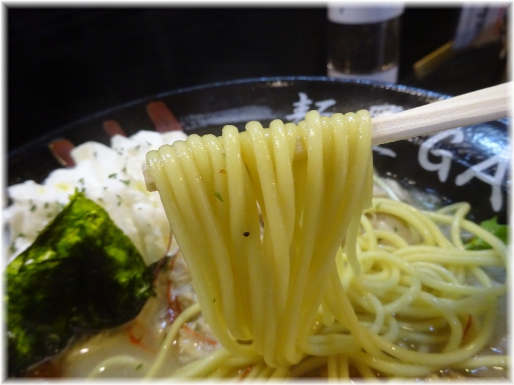 麺屋GAKU 鶏塩クリーミーの麺