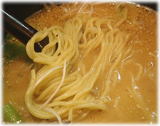 らーめん まとい 担々麺の麺