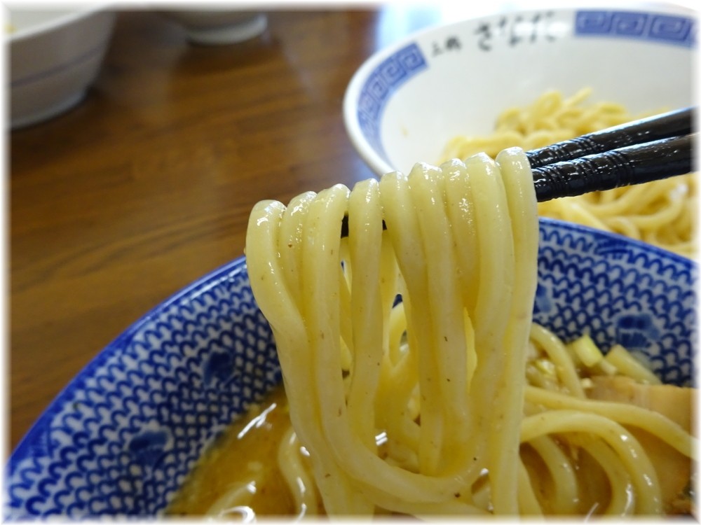 つけめんさなだ 特製つけめんの麺