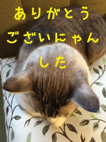 IMG_0068th_