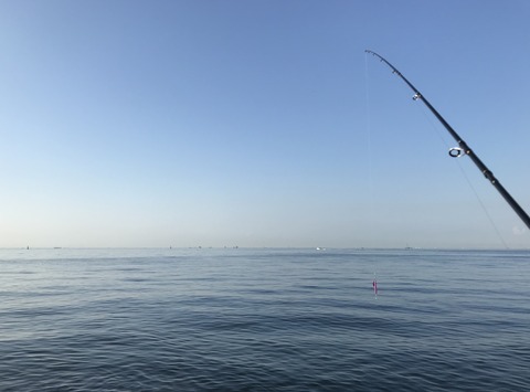 fullsizeoutput_493f