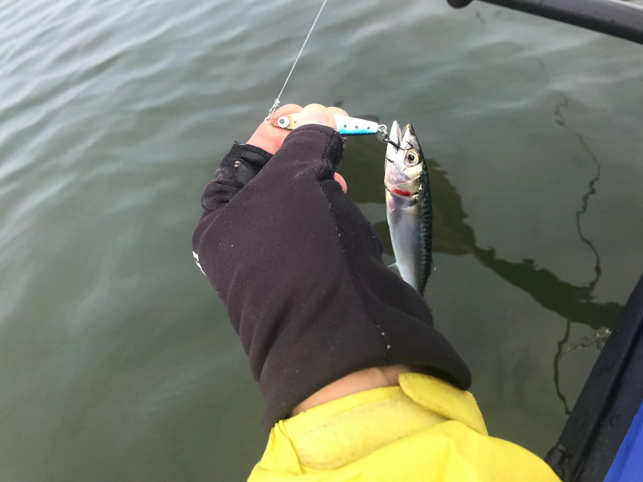 内房 Tokyo Bay Often