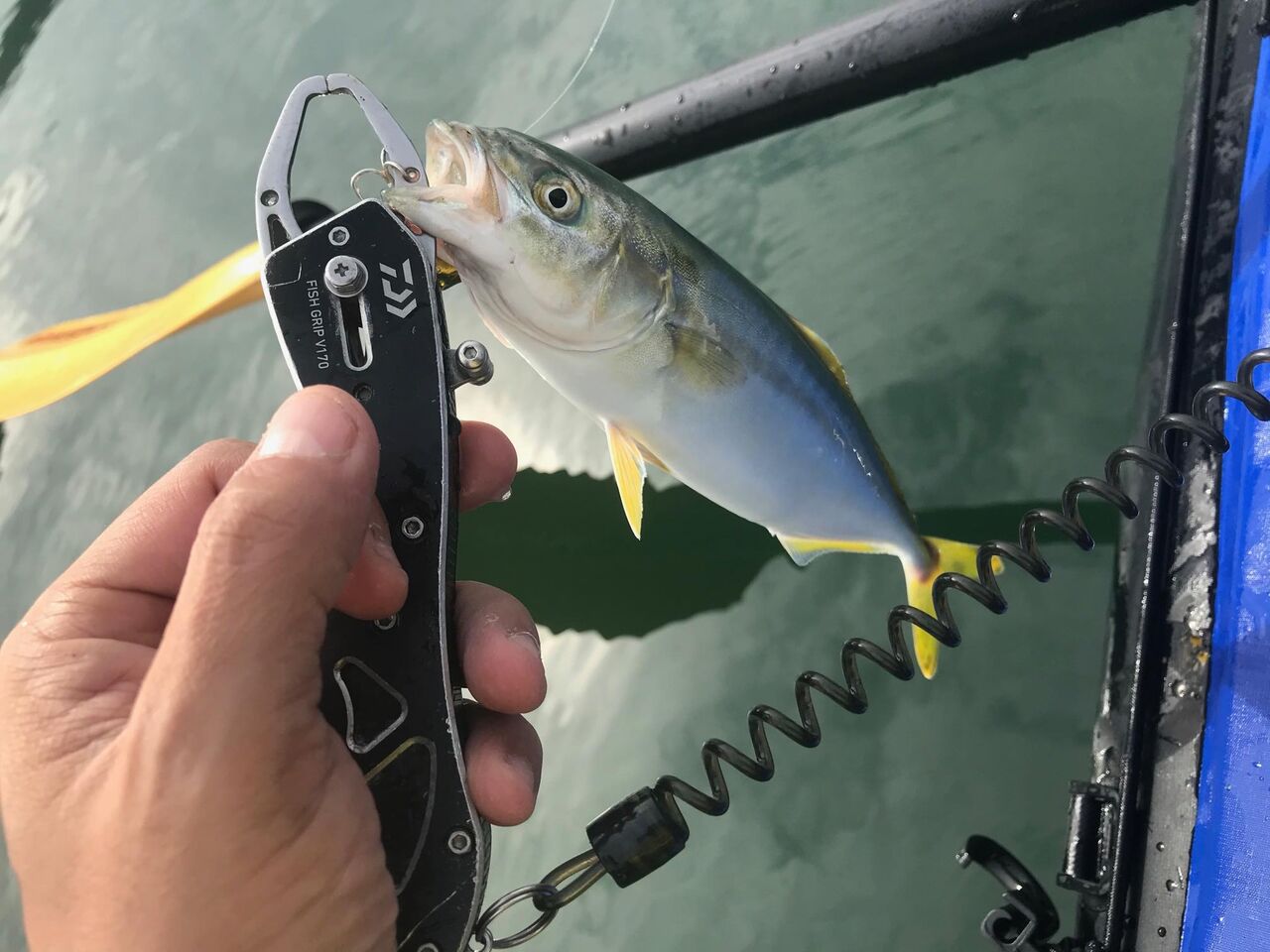 内房 Tokyo Bay Often