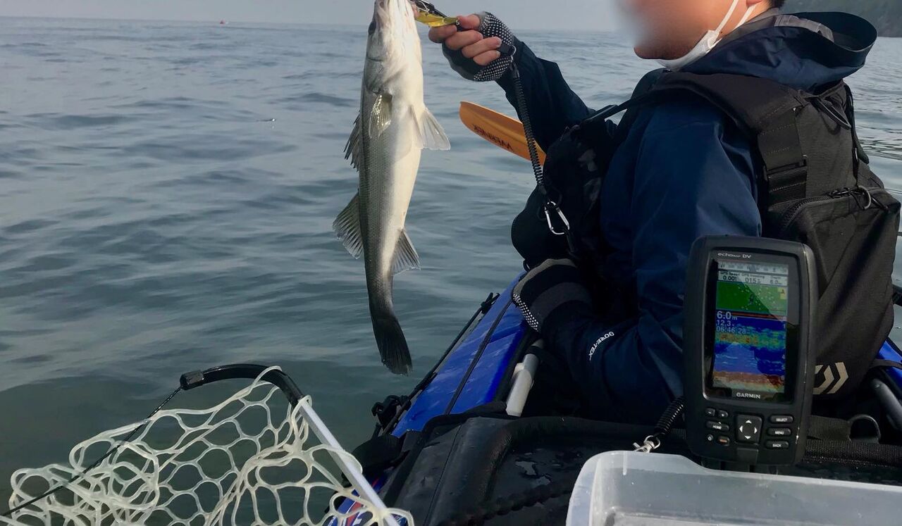 内房 Tokyo Bay Often