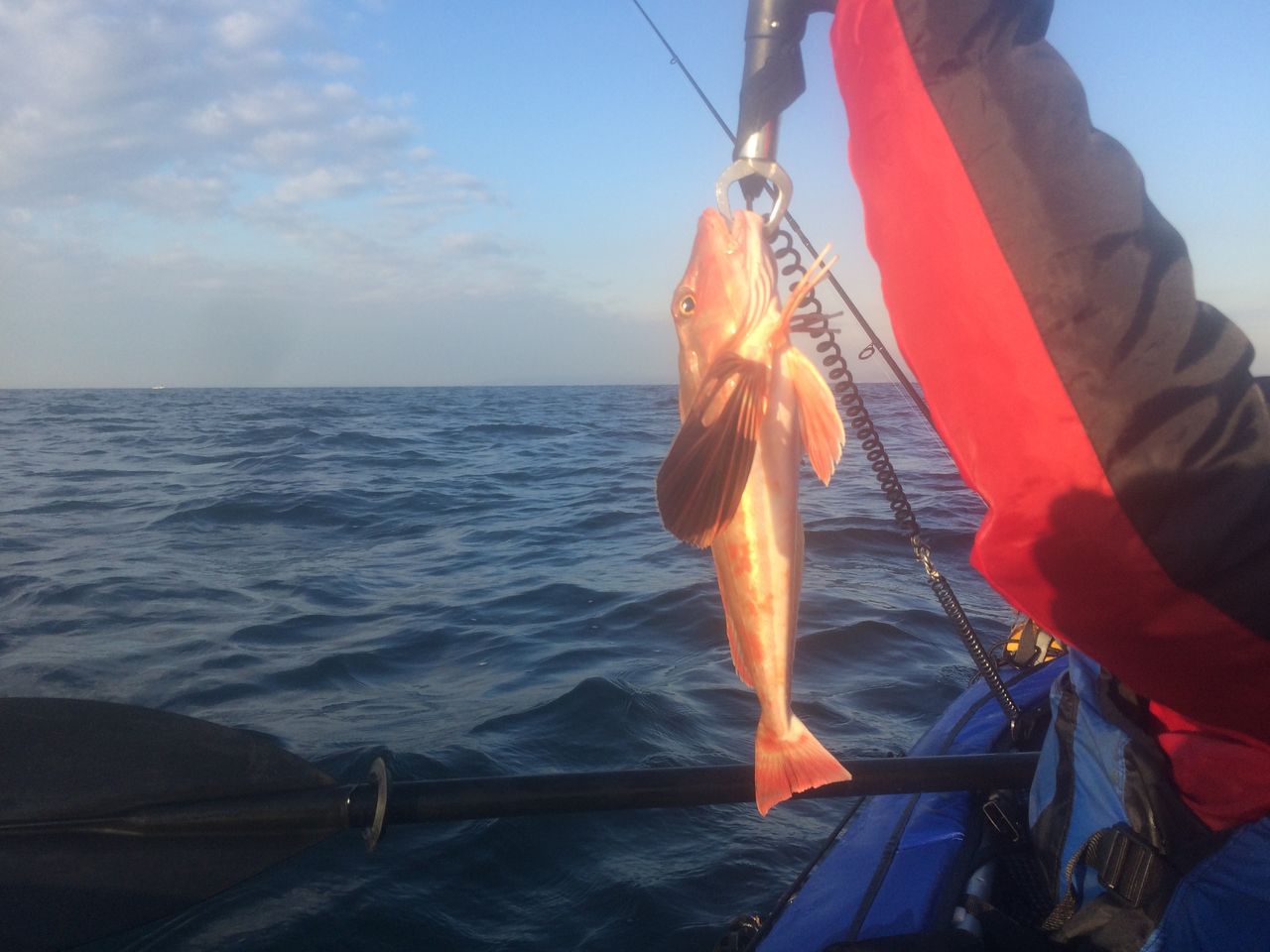 18 11 内房 カヤック Tokyo Bay Often