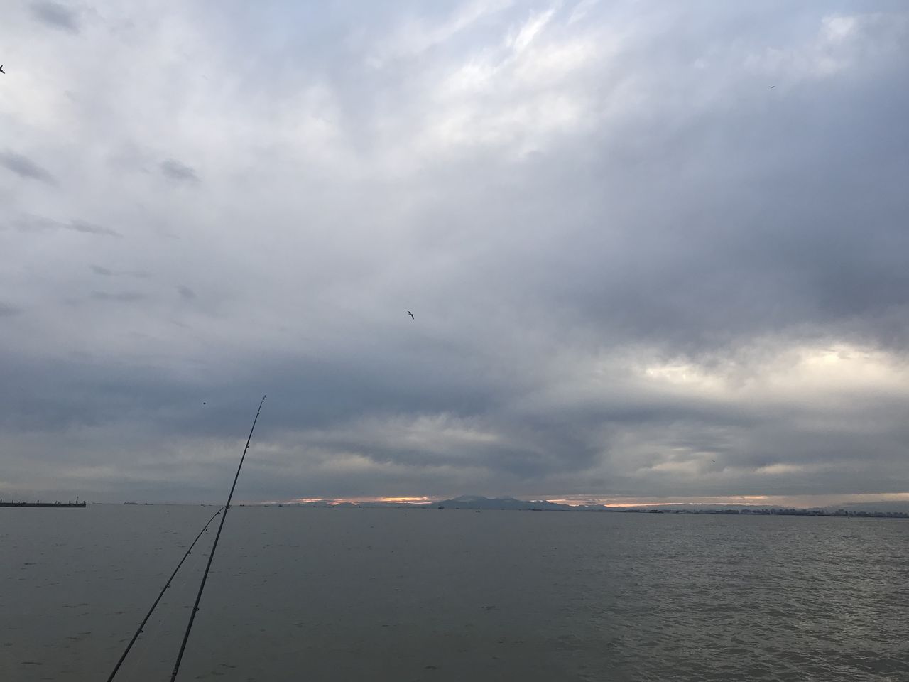 19 10 湾奥サワラ カヤック Tokyo Bay Often 19 10 湾奥サワラ カヤック Tokyo Bay Often