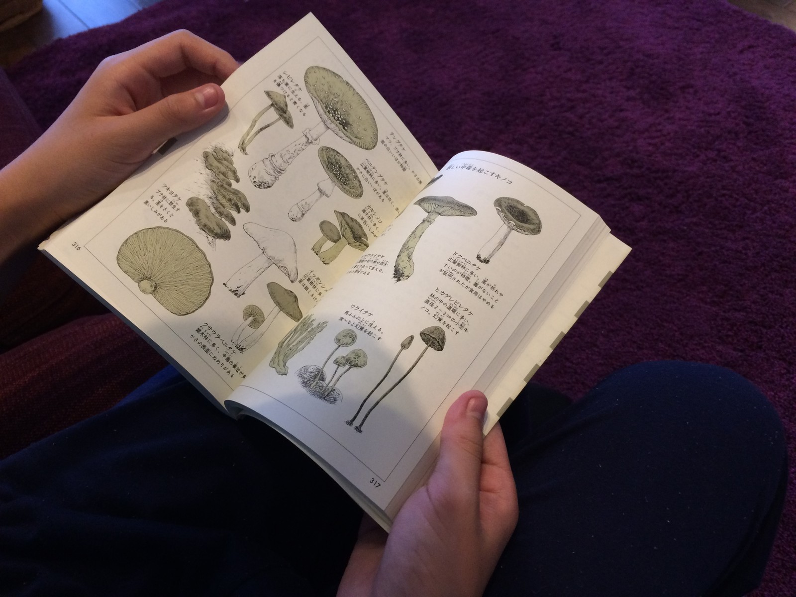 冒険図鑑 Outdoor Life Designs