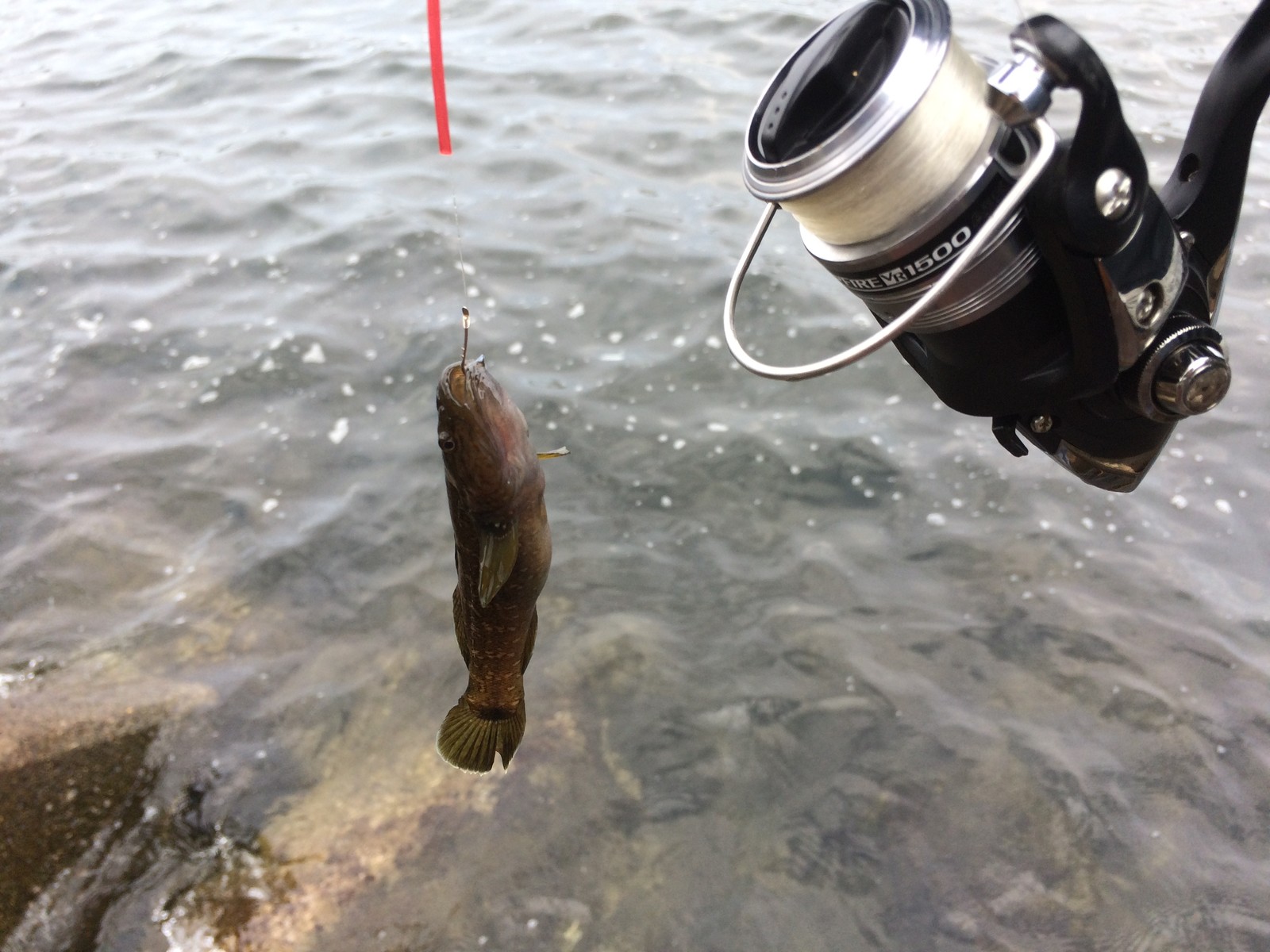 内房釣果 Outdoor Life Designs