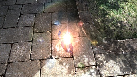 Dragon'sDogmaOnline_1566658172