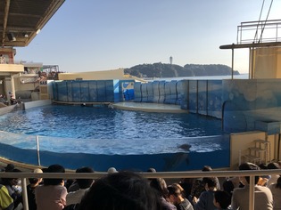 IMG_4450