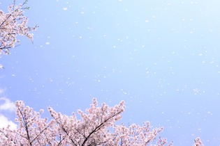 be063ac63ca6e766c14e03f09def9001_s