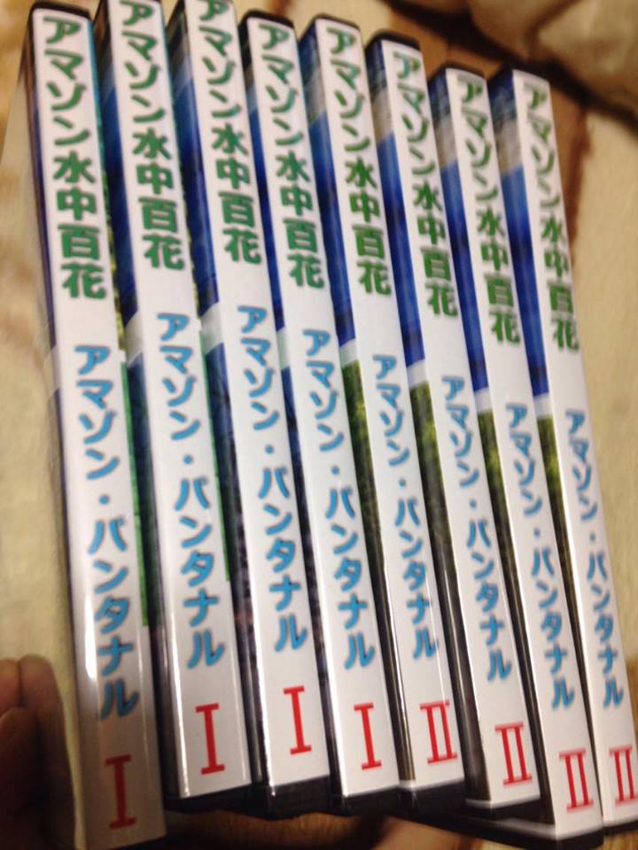 新 南米黄金街道 16年06月
