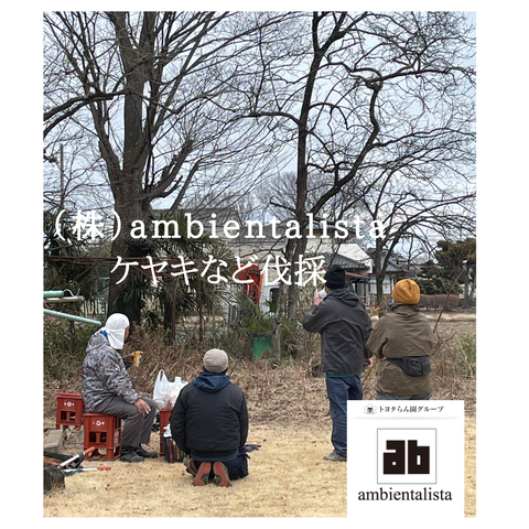 2022/02/08 ケヤキの伐採