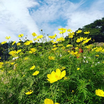 IMG_20190929_164853_727