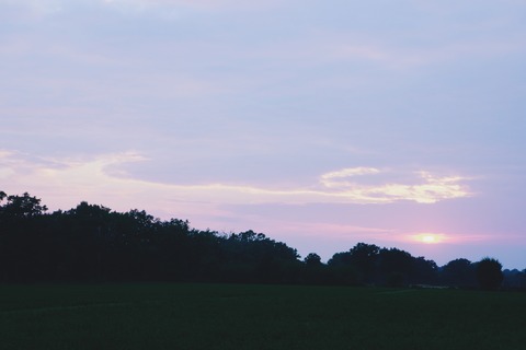 IMG_1810