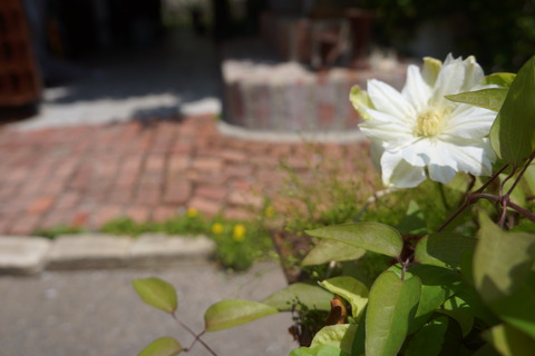 DSC03201