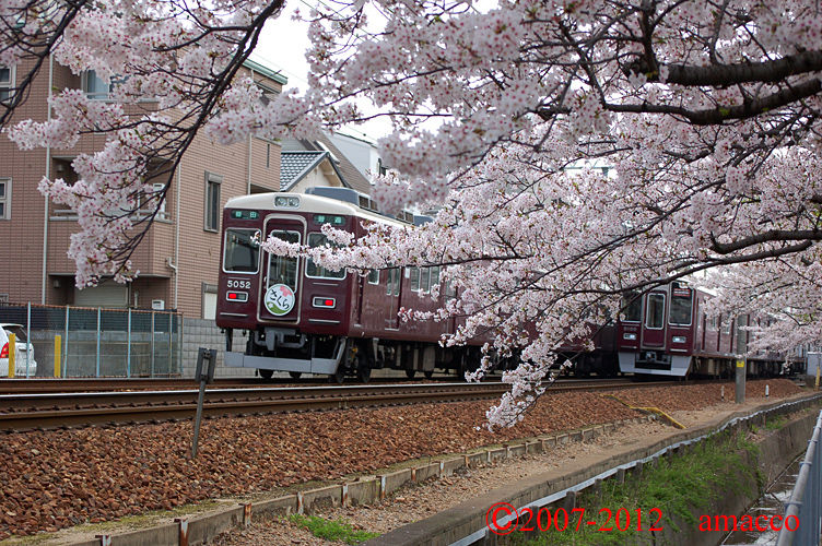武庫之荘駅の桜と阪急電車 アマッコのblog