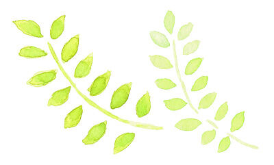 leaf_water1_l