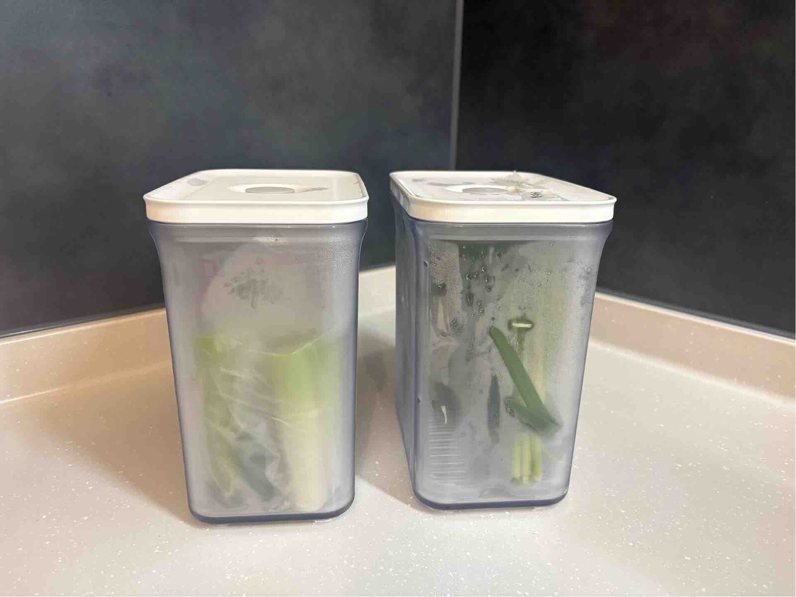 真空保存容器が増えたら、食品ロスが消えた。 【全公開】50代主婦の