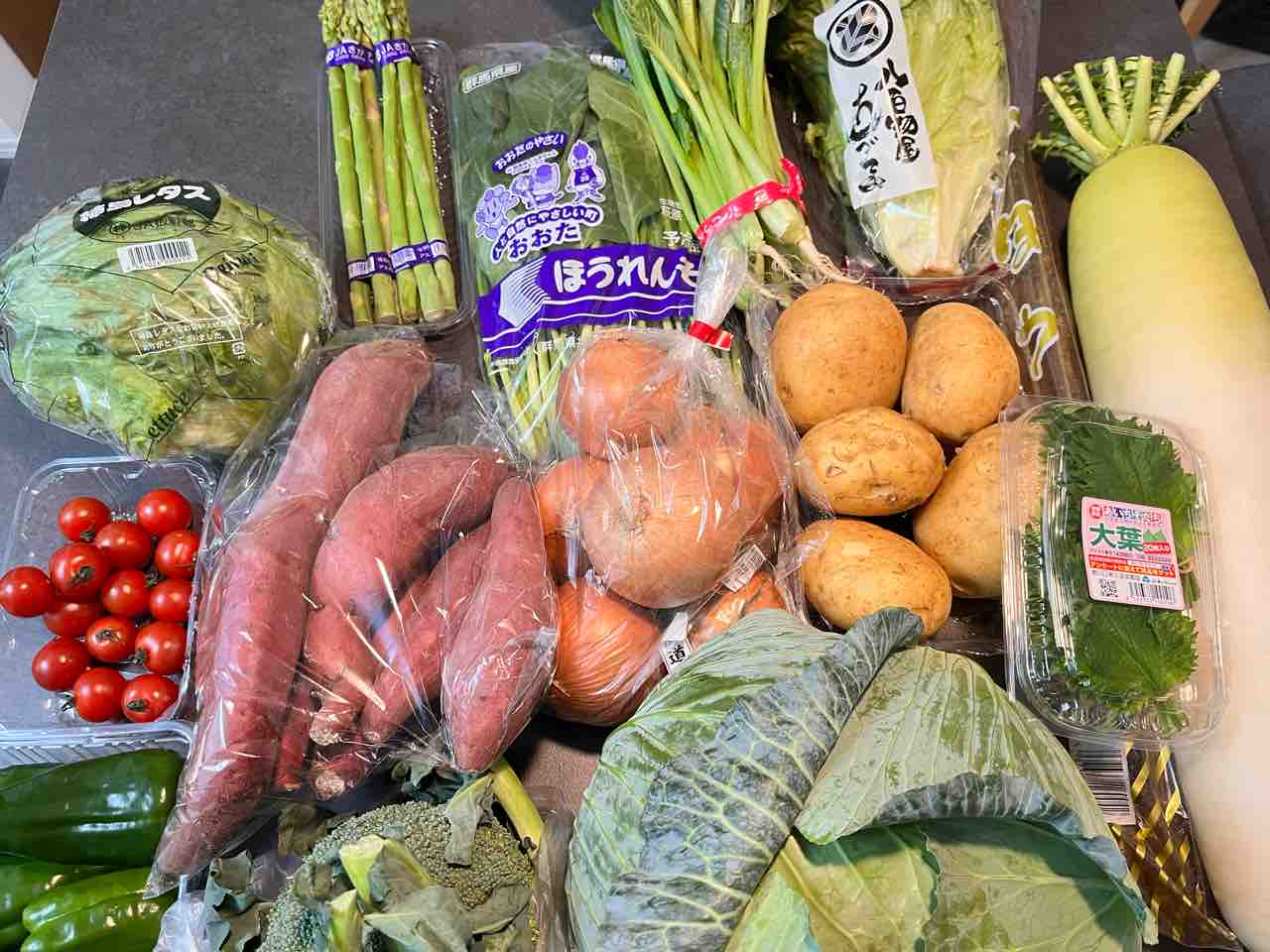 ロビ 完成品  美品【値下げしました】 楽天市場】ロボット ロビ 完成品の通販