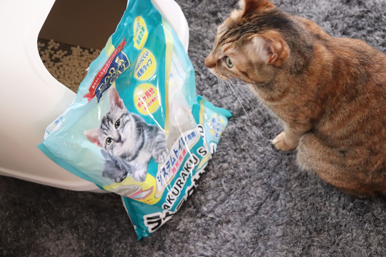 コスパ最高はこれ 猫砂を比べてみました やさしい時間と もたない暮らし Powered By ライブドアブログ