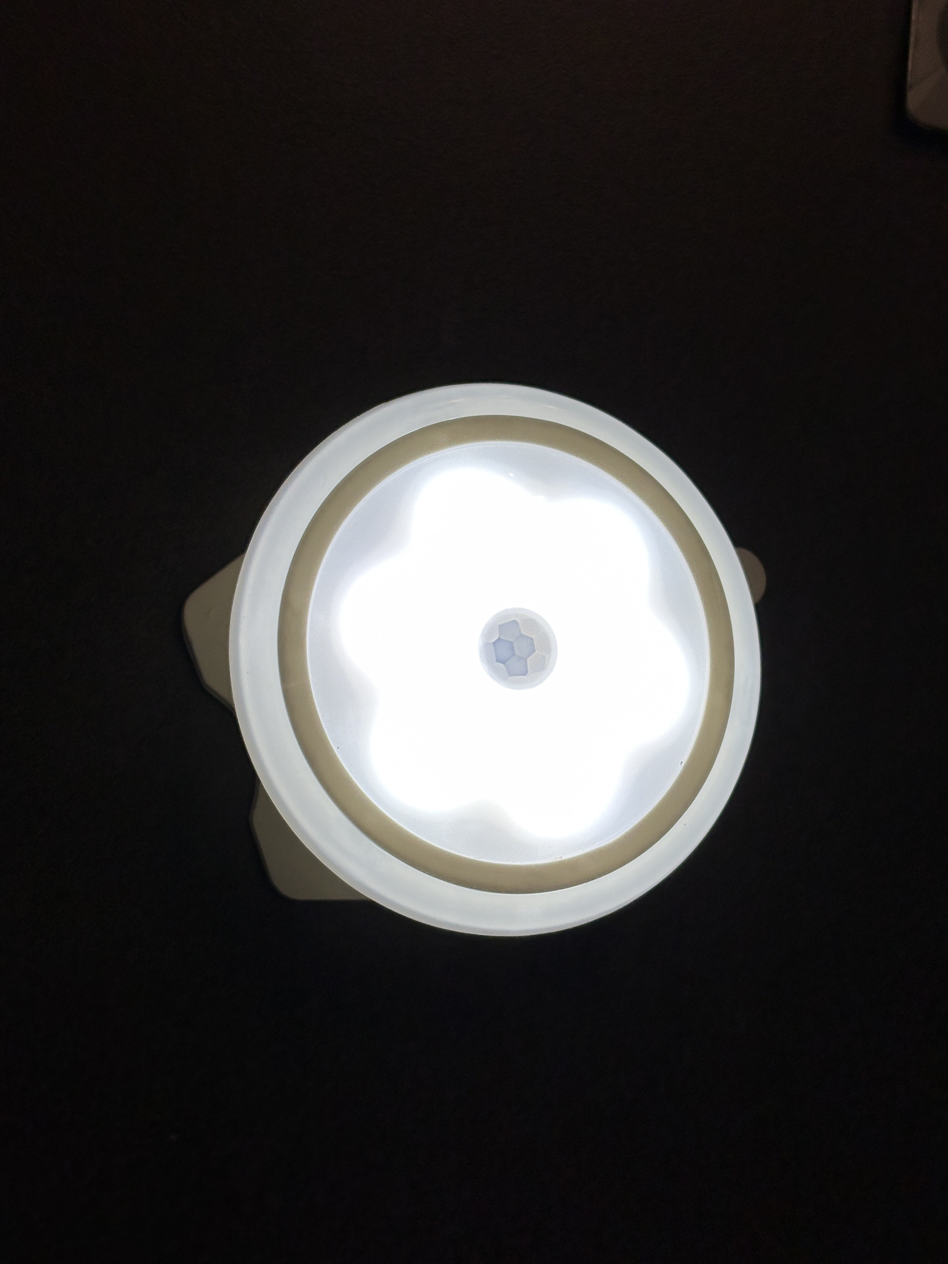 マイセン‼️最終お値下げ マイセン‼️最終お値下げ