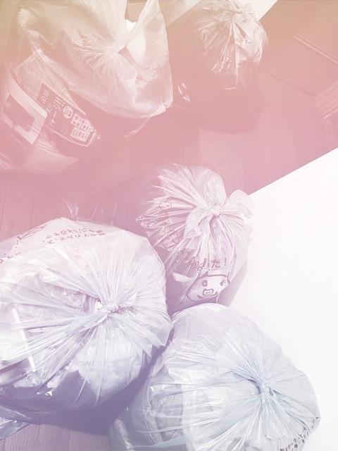 家族で大掛かりな断捨離 : やさしい時間と、もたない暮らし Powered by