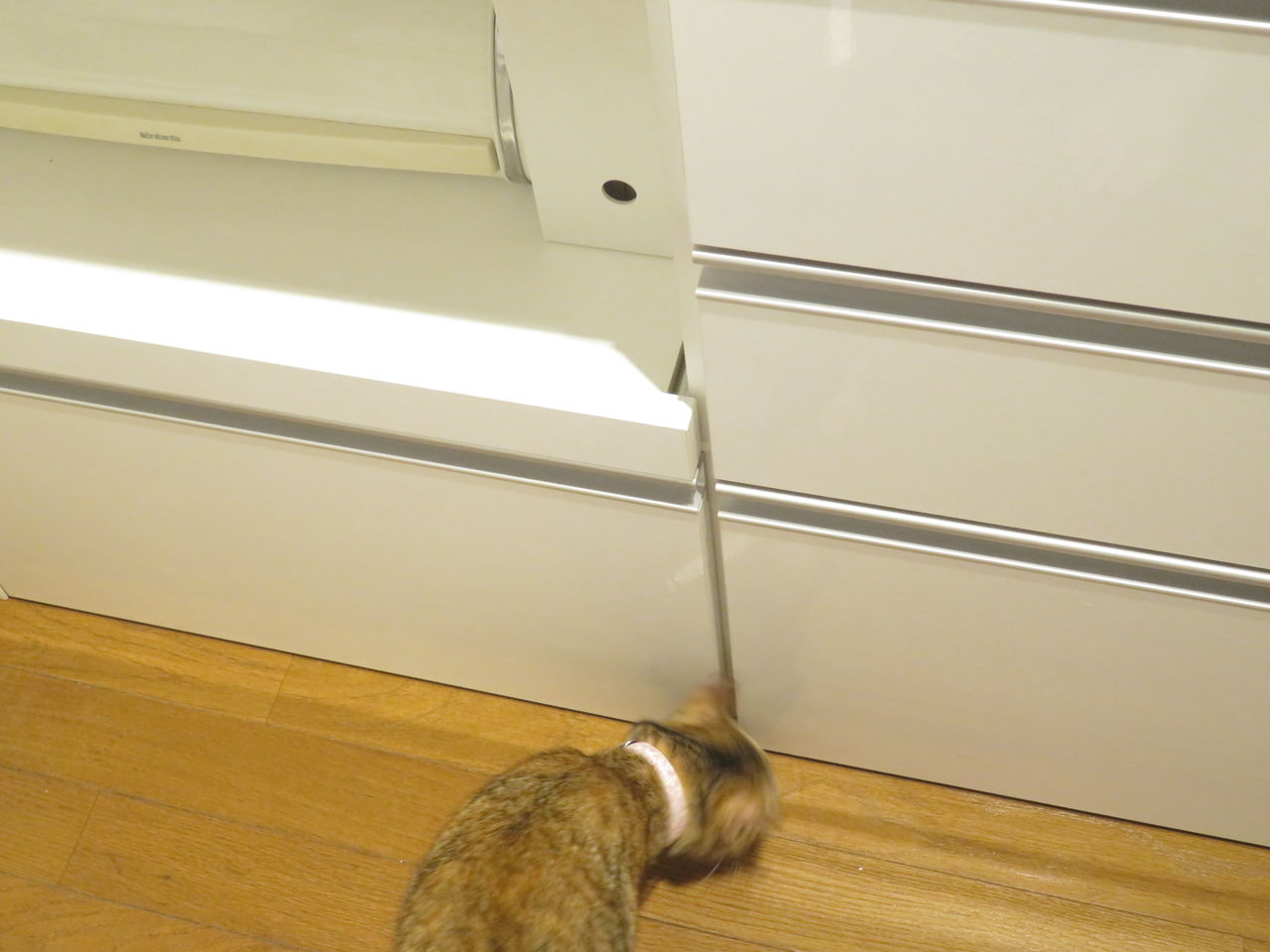 猫と暮らす家 猫のエサの収納法 やさしい時間と もたない暮らし Powered By ライブドアブログ 猫と暮らす家 猫のエサの収納法 やさしい時間と もたない暮らし Powered By ライブドアブログ