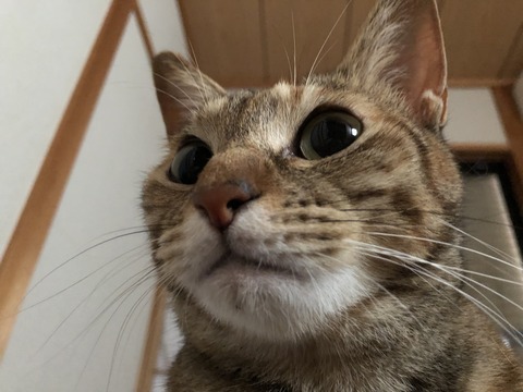 hje3W7A9QHy1hG%wHeuitQ